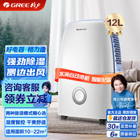 GREE 格力 抽湿机/除湿机 家用卧室办公室低噪干衣除湿器12升/天 适用面积20平方米以内 卧室(DH12EA)