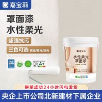 百亿补贴：CARPOLY 嘉宝莉 罩面漆艺术漆室内墙面乳胶漆亮光防水透明水性哑光高清罩面