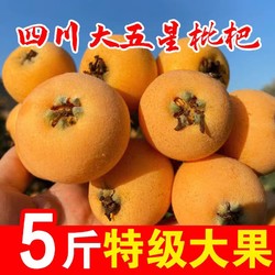 冰茜 四川五星枇杷 特大果 5斤装 单果35g＋