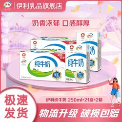 yili 伊利 3.2g乳蛋白 纯牛奶