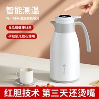 DAYDAYS 迪迪仕 智能保温水壶大容量保温壶热水壶家用保温暖壶茶壶