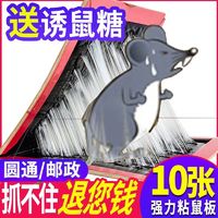 老鼠贴强力粘鼠板捕鼠灭鼠驱鼠神器隐形家用沾抓捉超强一窝端10张