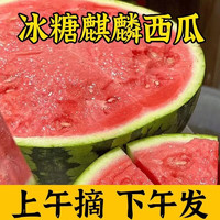 水果蔬菜 麒麟西瓜 4-5斤