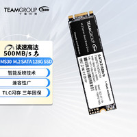 Team 十铨 科技 十铨（Team) MS30 固态硬盘 M.2 SATA SSD MS30 128GB SSD