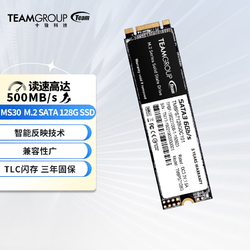 Team 十铨 科技 十铨（Team) MS30 固态硬盘 M.2 SATA SSD MS30 128GB SSD
