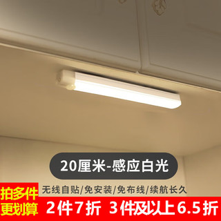 鸿视led人体感应灯带楼道走廊橱柜衣柜灯镜前灯柜底灯家用小夜灯 200mm白光单支装