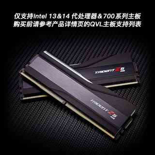 芝奇芝奇（G.SKILL）96GB(48Gx2) DDR5 6800 48G 8000频台式机内存条 96G(48X2)6800频 C34/黑色