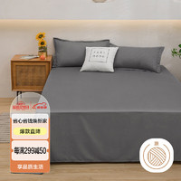AVIVI 艾薇 床单单件 被单单件单人宿舍床垫磨毛床单 极速灰 180*230cm