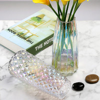 盛世泰堡 北欧花瓶摆件透明玻璃插花瓶满天水培容器星客厅装饰 菠萝纹22cm