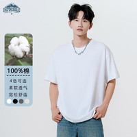 Dingfengbaoluo 顶峰保罗 日系纯色纯棉短袖t恤男士夏季基础款宽松白色打底内搭T2100白XL