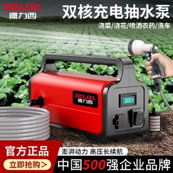 DELIXI 德力西 抽水泵充电式自吸浇菜神器农用淋菜浇地灌溉小型家用浇水机