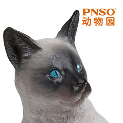 PNSO 暹罗猫萨利亚动物园成长陪伴模型13