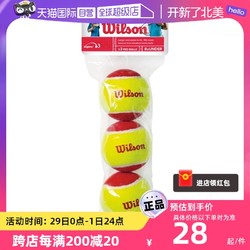 Wilson 威尔胜 官方专业训练网球耐磨3只组合装Starter