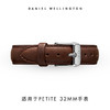 Daniel Wellington DanielWellington）DW表带14mm皮带银色针扣女款DW00200147（适用于32mm表盘系列）