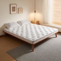 QuanU 全友 家居床垫家用棕垫薄款椰棕护脊单人榻榻米卧室床垫子117022