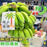 语博 禁止蕉绿  整串带杆6斤(2~3把)