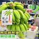  语博 禁止蕉绿  整串带杆6斤(2~3把)　