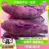 鲁香德 紫薯3斤新鲜板栗蜜薯营养糖心山芋5斤红薯番薯地瓜烟薯香薯蔬菜