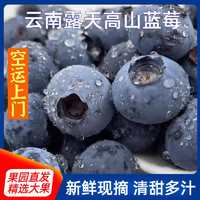 龙觇 【顺丰速发】云南蓝莓王新鲜蓝莓大果 125g× 6盒（单果15-18mm）