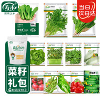 寿禾 12种蔬菜种子西红柿黄瓜鸡毛青菜菠菜香菜生菜 12种蔬菜种子套餐