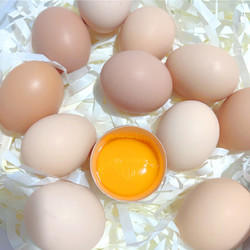 筱诺 新鲜土鸡蛋 笨鸡蛋 柴鸡蛋 现捡蛋青皮粉皮随机发  单枚40±5g 土鸡蛋12枚
