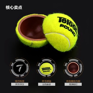 天龙（Teloon） 网球比赛训练习球高弹耐磨打桶装ITF网球W25用球 PRO+POUND 1桶（3粒装/桶） 1桶（手胶）