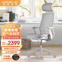 恒林 星云电脑椅CEO老板椅高端人体工学椅董事长办公椅HLC-600 羽灰色（4D扶手）