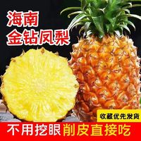 果尚语 海南金钻凤梨新鲜三亚特产水果当季手撕菠萝整箱树上熟脆甜多汁 3斤