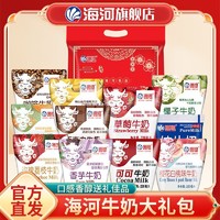 海河 牛奶龙年礼袋11种口味混合朋友亲戚送礼风味奶