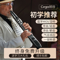 Cega 电子吹管官方旗舰店初学入门笛子专业乐器中老年葫芦丝萨克斯