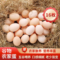 故乡食召 鸡蛋 初生鲜鸡蛋蛋 山林农家谷物鸡蛋 16枚 640g 4枚*4组