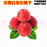 钱小二 云南新鲜红宝石桃  桃子 5斤