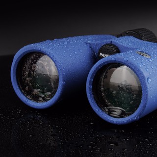 熊猫（PANDA）双筒望远镜高倍高清军事微光夜视儿童观鸟拍照演唱会望远镜 90PW系列蓝色防水款10*42
