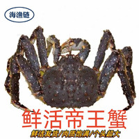 【活鲜】海渔链 鲜活帝王蟹 俄罗斯大螃蟹 海鲜水产 6-6.5斤/只
