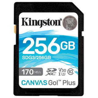 SDG3系列 SD存储卡 256GB（USH-I、V30、U3）