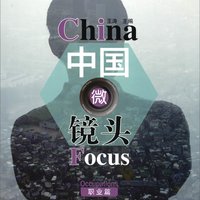 中国微镜头：汉语视听说系列教材 中级（上）职业篇