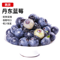 茜货丹东蓝莓 2盒装18mm+ 约125g/盒 生鲜水果 源头直发
