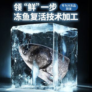 渔乡馋千岛湖鱼头1.2kg-1.5kg 冷冻大头鱼去鳞去鳃去内脏胖头鱼淡水花鲢