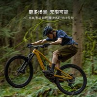 TREK 崔克 山地车 FUEL EX 8轻量化竞赛级全避震林道山地自行车 哑光金铜色