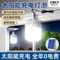 卓琪 2024新款太阳能庭院路灯家用充电室内照明一拖二分体式吊灯泡