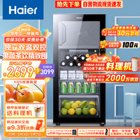 Haier 海尔 133升双温家用客厅办公室冷藏柜暖藏冰吧 茶叶饮料蔬果保鲜柜囤货小冰箱DS0133LH69D1