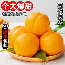 糜鸿黄金油桃 （顺丰包邮）新鲜水果应季油桃孕妇当季时令水果大果 甄选黄金油桃 带箱5斤 （净重4.5斤）大果