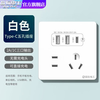 双USB插座面板 五孔2.1A双USB+type-c