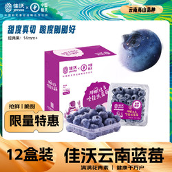 JOYVIO 佳沃 藍莓 單果果徑14mm+ 1.5kg 禮盒裝