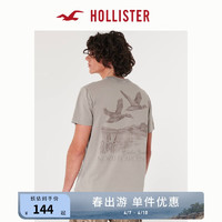 HOLLISTER24春夏美式风棉质图案T恤 男装女装 358765-1 灰褐色 L (180/108A)