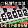 曼尔乐器 口风琴37/32键音符条简谱贴纸儿童初学口风琴专用音阶音标音符贴