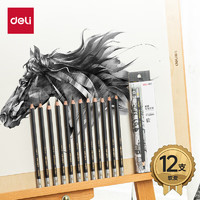 deli 得力 DL 得力工具 得力(deli)素描炭笔 初学者速写碳笔软中硬 绘画美术生专用工具 12支/盒软炭 S997-6