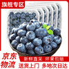 呈鲜菓农 国产蓝莓 新鲜大果蓝莓 当季时令水果生鲜 送礼物推荐 精选果经约15-18mm 4盒
