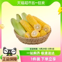88VIP：天猫超市 云南高原新鲜蔬菜水果玉米3斤/5斤/9斤甜脆玉米现掰现发带壳发货