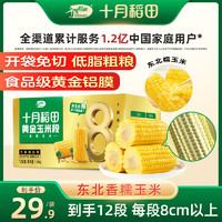SHI YUE DAO TIAN 十月稻田 黃金8cm玉米段1.6kg 東北黃糯玉米 23年黏糯玉米棒 低脂雜糧 玉米段1.6kg